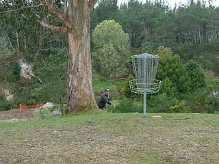 Disc Golf New Zealand